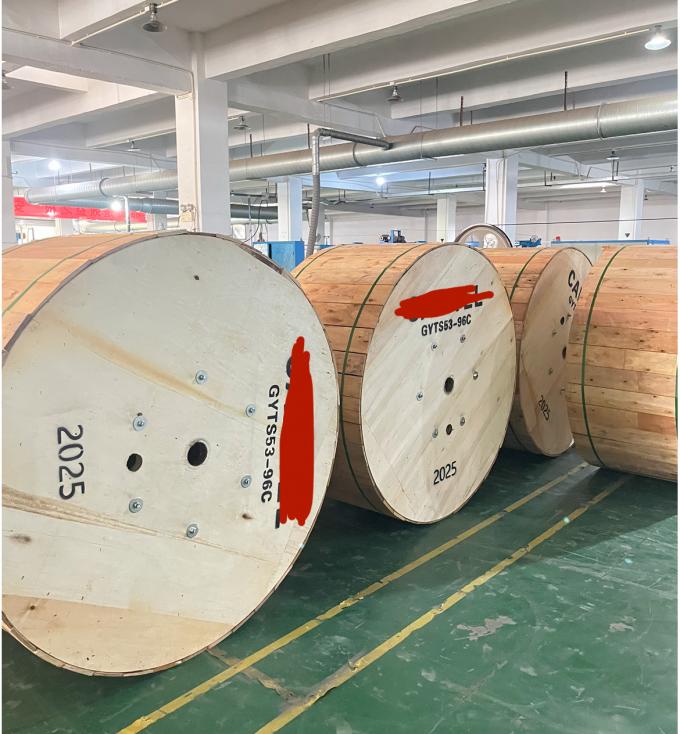 Factory Stock Outdoor Double Armoured GYTS53-96 Cores Fiber Optic Cable Double Jacket G652D Shipped Same Day 10