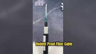 GYFTY83 Non-metallic Anti-rodent Fiber Optic Cable FRP Armored 24 48 96 Core