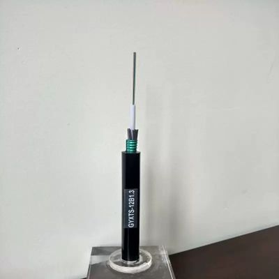 6 8 12 24 Core Fiber Optic Cable Anti-rodent Optical Cable (GYXTS)