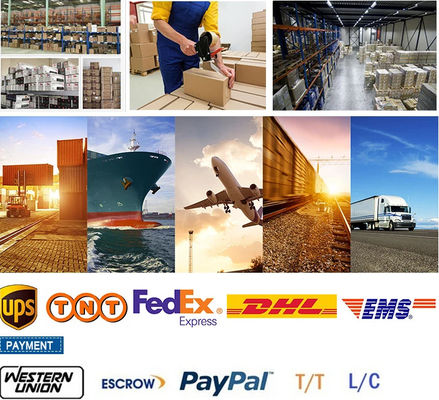 6 8 12 24 48 Core Steel Tape PSP Armoured GYTS GYTS53 Outdoor Fiber Optic Cable