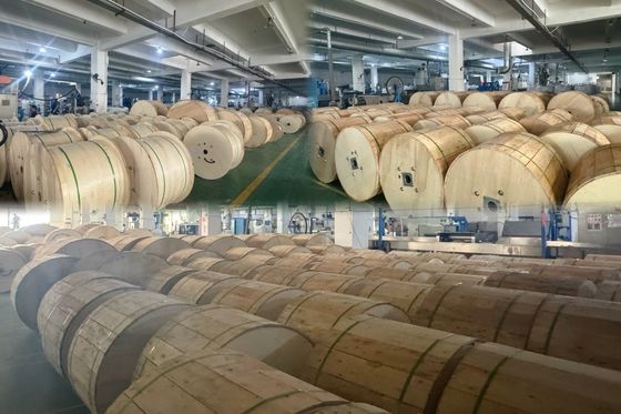 Outdoor Direct Burial 2 4 6 12 24 Core Optical Fiber Cable GYXTW53 SM G.657A1 G652D Armored Fiber Optic Cable Price