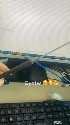 Customized GYXTW Armored  2 4 6 8 12 24 Core  Single Mode Fiber Optic Cable 6mm 7mm 8mm With Messenger