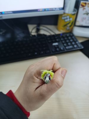 Non Metallic Single Jacket ADSS Fiber Optic Cable 6/12/24/48/96 Core 100/200m Span G652D